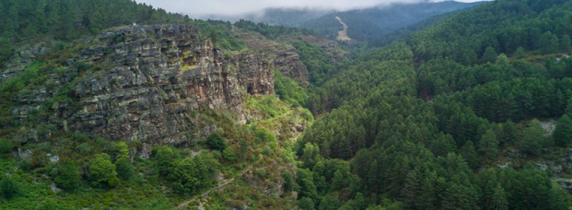 JORNADA SEMIPRESENCIAL: “EL RECURSO MICOLÓGICO COMO UN ACTIVO MÁS DE LAS FINCAS FORESTALES GALLEGAS” - 28 JULIO 2021