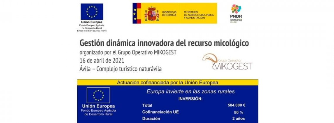 MIKOGEST_CARTEL_FINANCIACIÓN_Jornada_16abril2021 MIKOGEST_CARTEL_FINANCIACIÓN_Jornada_16abril2021