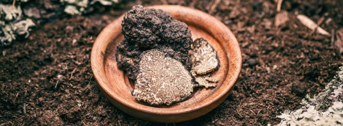 Trufas silvestres